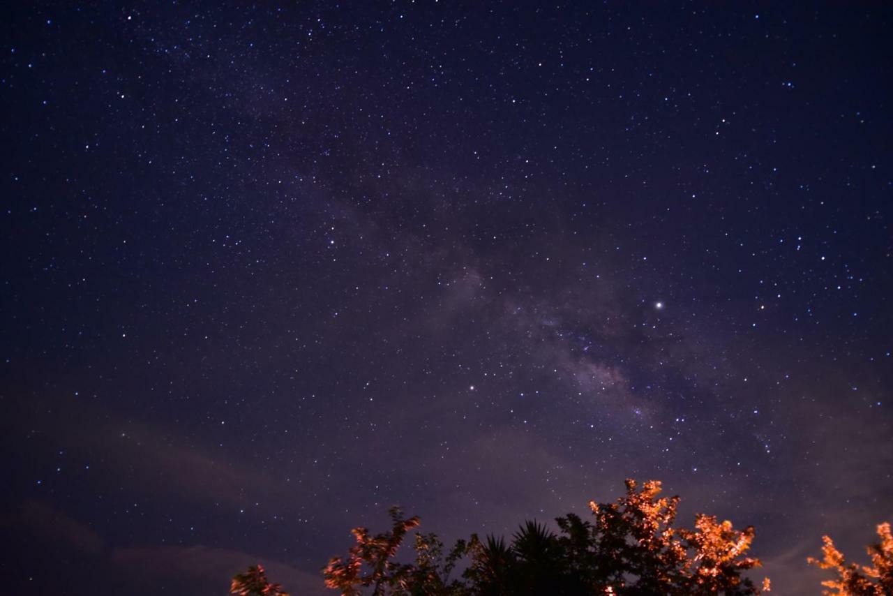 Chuxu Homestay Fanlu エクステリア 写真